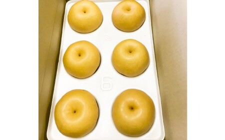 浅岡農園の梨 約2.7kg 梨 なし ナシ くだもの 果物 フルーツ 果実 和梨 豊水 秋月 新高 甘太 大分県 九重町 【2回定期便 2026年9月･10月発送】