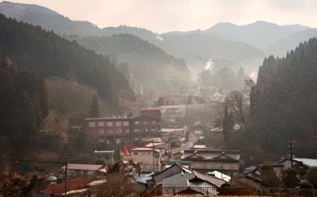 宝泉寺温泉旅館組合 共通ペア 宿泊券 1枚 1泊2食付 旅館 ホテル 温泉