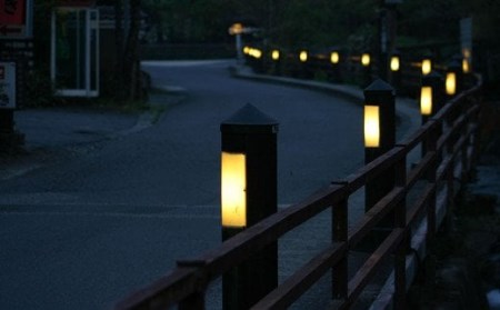 宝泉寺温泉旅館組合 共通ペア 宿泊券 1枚 1泊2食付 旅館 ホテル 温泉