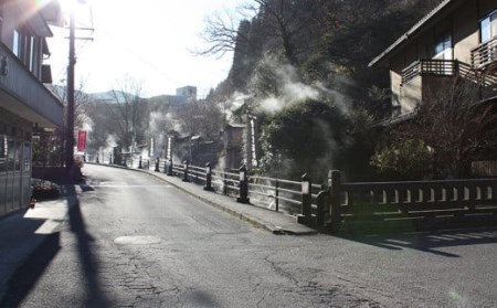 宝泉寺温泉旅館組合 共通ペア 宿泊券 1枚 1泊2食付 旅館 ホテル 温泉