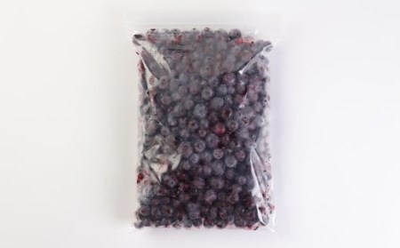九重町産 冷凍 ブルーベリー 2kg (1kg×2袋) 農薬不使用 果物