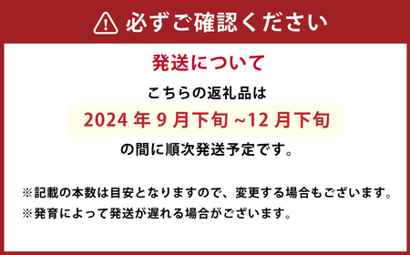 九重町産 白ネギ 約3kg (18本～30本) ネギ 高原ネギ 野菜 【2024年9月下旬-12月下旬発送】