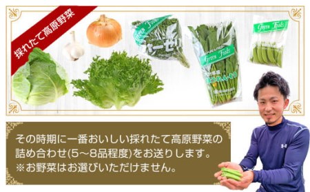 大分県産 全力！ 高原野菜 セット 約5kg (5～8品程度) 