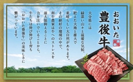 【大分県産】豊後牛 焼肉用 カルビ 切り落とし 500g 牛肉 中落ち