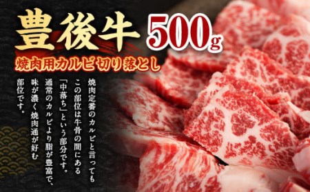 【大分県産】豊後牛 焼肉用 カルビ 切り落とし 500g 牛肉 中落ち