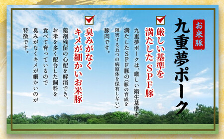 大分県産 ブランド牛 ・ 豚 豊後牛 × 九重夢 ポーク 切り落とし 大分県産 ブランド牛 ・ 豚 豊後牛 × 九重夢 ポーク 切り落とし