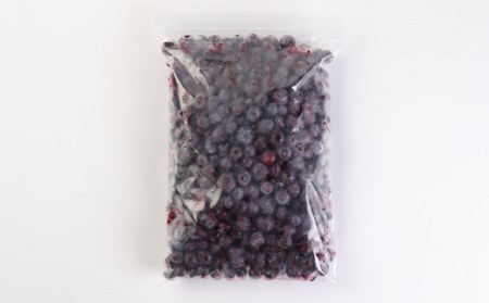 九重町産 冷凍 ブルーベリー 1kg (1kg ×1袋)  農薬不使用 果物
