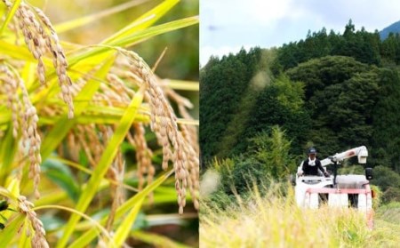 【6ヶ月定期便】さとうファームの有機栽培米(玄米) 5kg × 6回 玄米 有機栽培米