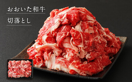 【3ヶ月定期便】 おおいた和牛 ・ 九重夢ポーク 食べ比べ 定期便 Ⅰ セット 牛肉 豚肉 大分県産