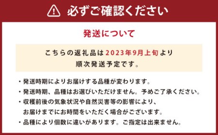 2023年9月上旬より発送開始】 九重町産 電子技法栽培 梨 10kg 果物