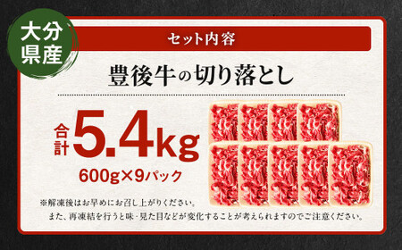 豊後牛 切り落とし 合計約5.4kg (約600g×9パック) 牛肉 国産 大分県産