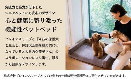 NOMIN ペットベッド 大日方久美子コラボ ライトグレー/ ペット用品 犬 猫 体圧分散 丸洗い可能 シニア 防臭 おしゃれ 通気性 ペット 日用品 ブレインスリープ