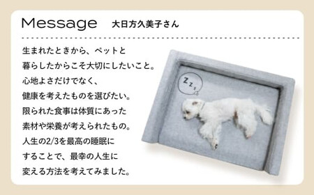 NOMIN ペットベッド 大日方久美子コラボ ライトグレー/ ペット用品 犬 猫 体圧分散 丸洗い可能 シニア 防臭 おしゃれ 通気性 ペット 日用品 ブレインスリープ