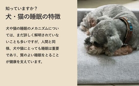 NOMIN ペットベッド 大日方久美子コラボ ライトグレー/ ペット用品 犬 猫 体圧分散 丸洗い可能 シニア 防臭 おしゃれ 通気性 ペット 日用品 ブレインスリープ