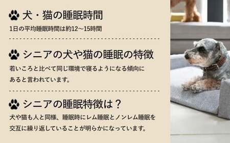 NOMIN ペットベッド 大日方久美子コラボ ライトグレー/ ペット用品 犬 猫 体圧分散 丸洗い可能 シニア 防臭 おしゃれ 通気性 ペット 日用品 ブレインスリープ