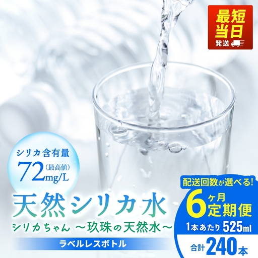【6ヶ月定期便】天然水 シリカ 525ml × 40本 ＜シリカちゃん〜玖珠の天然水〜＞   水 水 500ml 500ml 天然水 天然水 ラベルレス 天然シリカ 水 シリカ水 ミネラルウォーター 国産 保存可能 水 防災 備蓄 シリカ水 シリカ水 SDGs