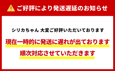 【最短当日発送】【数量限定】天然水 シリカ 525ml × 40本 × 2箱<シリカちゃん〜玖珠の天然水〜> 水 水 500ml 500ml 天然水 天然水 ラベルレス 天然シリカ 水 シリカ水 ミネラルウォーター 国産 保存可能 水 防災 備蓄 シリカ水 シリカ水 SDGs