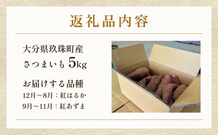 大分県産玖珠産　さつまいも5ｋｇ　紅はるか（12月～8月）紅あずま（9月～11月）　