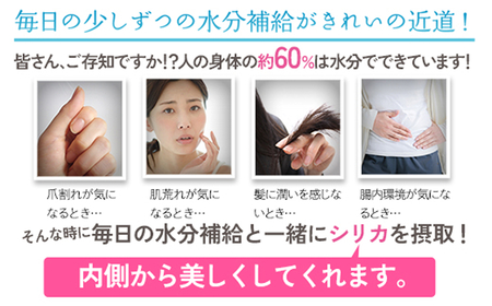 シリカウォーター Regina（レジーナ）40本