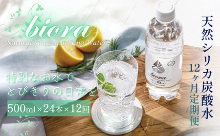 biora天然シリカ炭酸水 500ml×24本×12回 炭酸水 シリカ ミネラル 美容 飲料水 軟水 天然水 大分県 玖珠町 健康 九州 採水 防災 備蓄 定期便 500ml 72mg/l 硬度43.1 健康志向 酸素 吸収 継続 サプリメント 9,120円