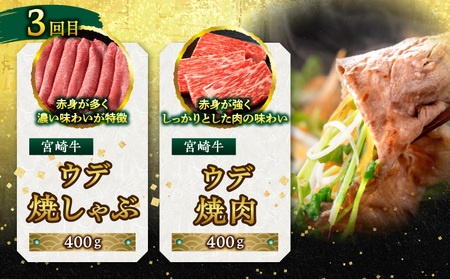 宮崎牛を食べつくす!ぎゅぎゅっとバラエティ定期便(総重量3.85kg) 牛肉 焼肉 しゃぶしゃぶ ステーキ