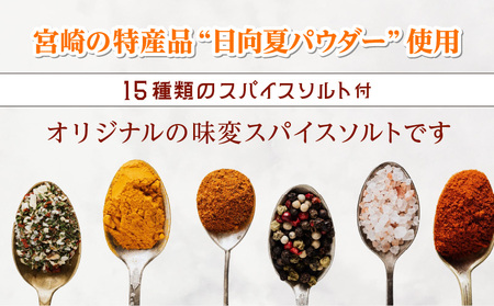 宮崎スープカレーセット(スープカレーほろほろチキン真空冷凍パック、スパイスソルト) スープ カレー レトルト