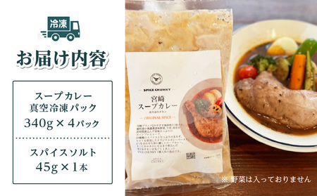 宮崎スープカレーセット(スープカレーほろほろチキン真空冷凍パック、スパイスソルト) スープ カレー レトルト