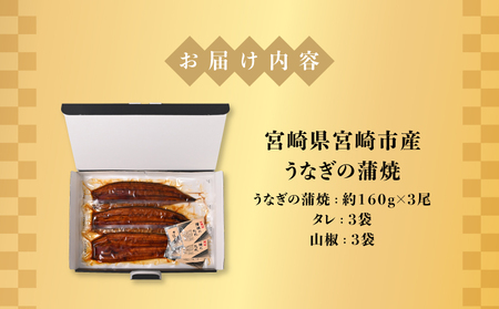 宮崎県宮崎市産　うなぎの蒲焼　約480g（約160g×3尾）タレ・山椒セット 鰻 ウナギ 丑の日 冬うなぎ 冬鰻