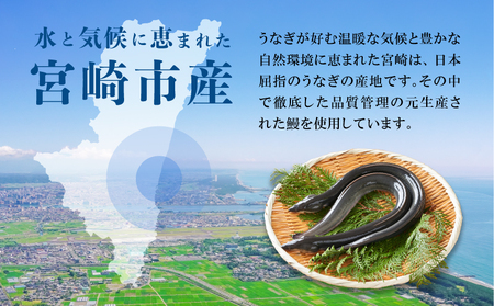 宮崎県宮崎市産　うなぎの蒲焼　約800g（約160g×5尾）タレ・山椒セット 鰻 ウナギ 丑の日 冬うなぎ 冬鰻