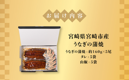 宮崎県宮崎市産　うなぎの蒲焼　約800g（約160g×5尾）タレ・山椒セット 鰻 ウナギ 丑の日 冬うなぎ 冬鰻