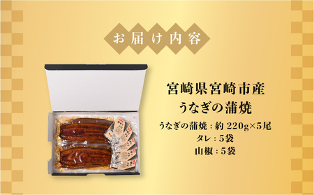 宮崎県宮崎市産　うなぎの蒲焼　約1.1kg（約220g×5尾）タレ・山椒セット 鰻 ウナギ 丑の日