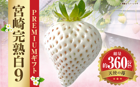 《2026年発送》【数量・期間限定】宮崎完熟白9PREMIUMギフト 完熟 甘い 白苺 いちご イチゴ 苺 果物 フルーツ
