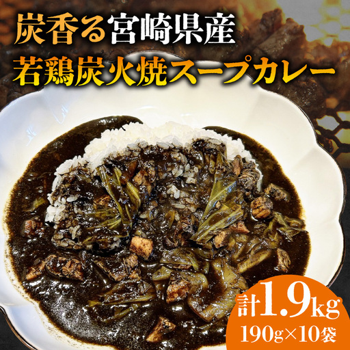炭香る宮崎県産若鶏炭火焼スープカレー 計1.9kg スパイス ブレンド カレー