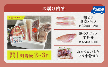 新鮮なしまうら真鯛セット 魚 刺身 魚介