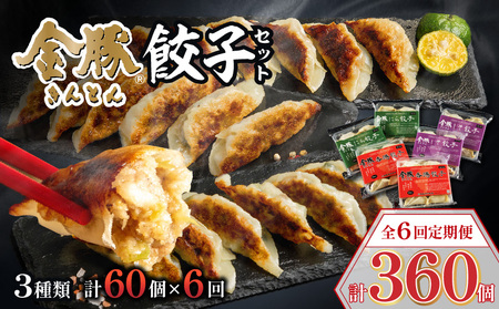 【定期便 偶数月 全6回】金豚餃子セット（香港餃子・しそ餃子・にら餃子　1パック10個入×各2パック）餃子 ギョーザ 惣菜