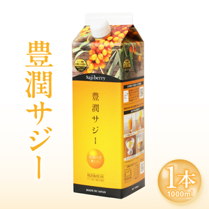 豊潤サジー 1000ml サジージュース【紙パックタイプ】 鉄 鉄分 果実 | 宮崎県宮崎市 | ふるさと納税サイト「ふるなび」