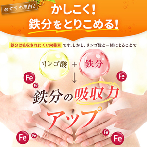 豊潤サジー 1000ml サジージュース【紙パックタイプ】 鉄 鉄分