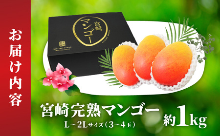 【期間限定】宮崎完熟マンゴー 約1kg L～2Lサイズ（3～4玉） くだもの 完熟 フルーツ 