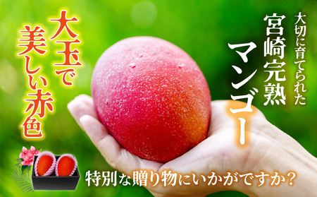 【期間限定】宮崎完熟マンゴー 約900～1,080g 3Lサイズ（2玉) 果物 フルーツ マンゴー