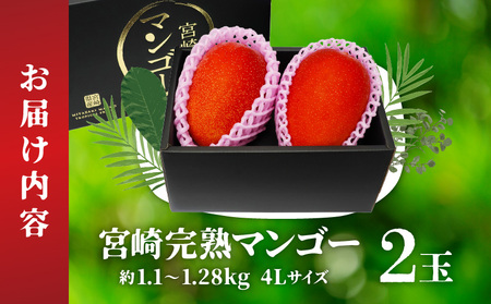 【期間限定】宮崎完熟マンゴー 約1.1～1.28kg 4Lサイズ（2玉） 果物 フルーツ マンゴー