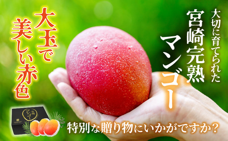 【期間限定】訳あり 宮崎完熟マンゴー 約2kg サイズおまかせ くだもの 完熟 フルーツ 