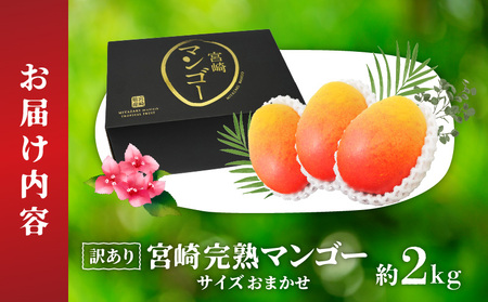 【期間限定】訳あり 宮崎完熟マンゴー 約2kg サイズおまかせ くだもの 完熟 フルーツ 