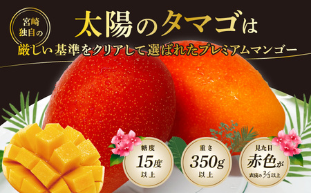 【期間限定】太陽のタマゴ 宮崎ブランドマンゴー 約700g 2Lサイズ（2玉）くだもの 完熟 フルーツ 