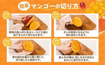 《2026年発送先行予約》【数量・期間限定】太陽のタマゴ2L2玉定期便　全3回 くだもの 完熟 フルーツ 定期便