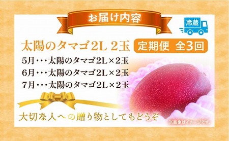 《2026年発送先行予約》【数量・期間限定】太陽のタマゴ2L2玉定期便　全3回 くだもの 完熟 フルーツ 定期便