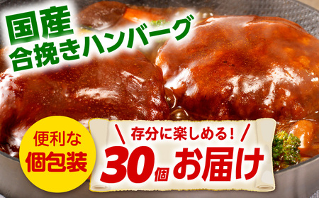 合挽デミグラスソースハンバーグ30個 ハンバーグ デミグラス ランキング 人気 惣菜 小分け おすすめ 肉 豚 牛 合挽 豚肉 牛肉 お肉 ミヤチク デミグラスハンバーグ お弁当 冷凍 おかず