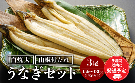 うなぎ白焼3尾セット うなぎ 白焼 セット タレ 冬うなぎ 冬鰻