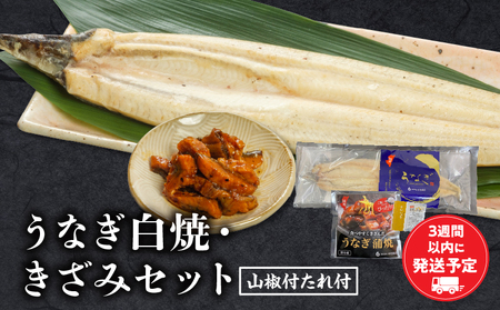ふるさと納税 宮崎市 うなぎ白焼・きざみセット うなぎ白焼・きざみセット | 宮崎県宮崎市 | ふるさと納税サイト「さと