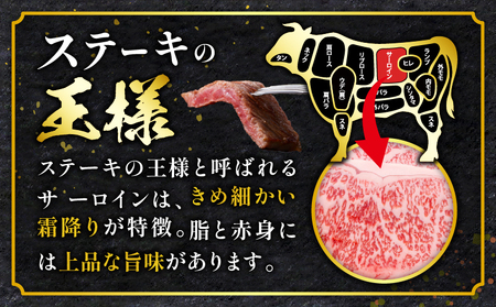 宮崎牛 サーロインステーキ 1枚 合計200g 肉 牛肉 ステーキ