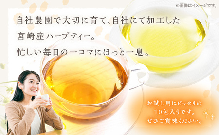 モリンガ茶・カモミールティー10パックセット モリンガ カモミール 茶
